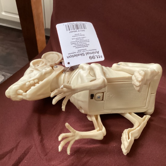 Spooky Village Animal Skeleton New With Tag 7.25” x 7” x 3” (approximate) - Picture 8 of 8
